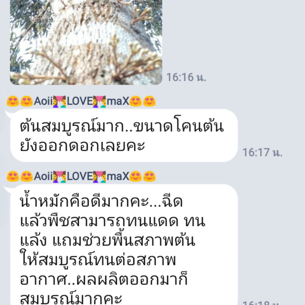 เริ่มออกดอกได้แล้ว